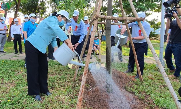 Город Хошимин: Праздник посадки деревьев в знак выражения признательности президенту Хо Ши Мину