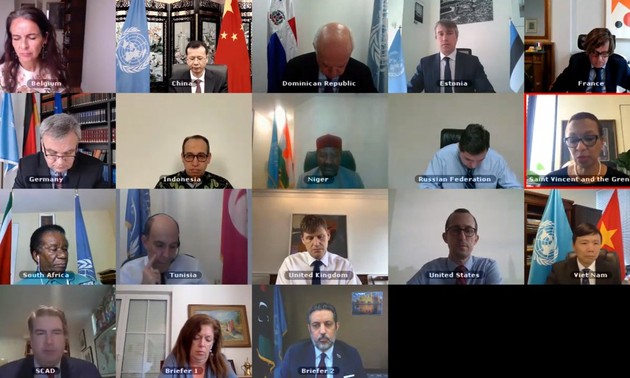 Онлайн-заседание СБ ООН по эскалации конфликта в Ливии 