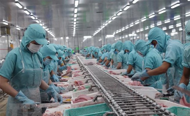 Вьетнам: Стимулирование внутреннего спроса на пангасиус «ча» отечественного производства