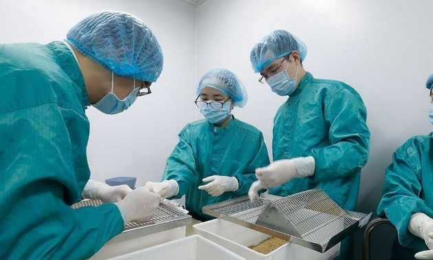 Вьетнам провел на мышах успешные испытания потенциальной вакцины от COVID-19