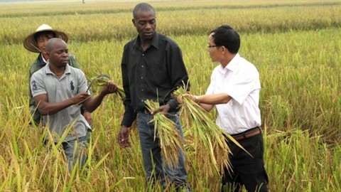 Memperkuat temu pergaulan rakyat antara Vietnam dan negara-negara Komunitas perkembangan Afrika Selatan