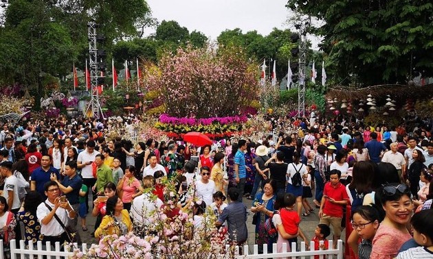 Festival bunga Sakura Jepang – Hanoi 2019 menyerap sekitar satu juta wisatawan
