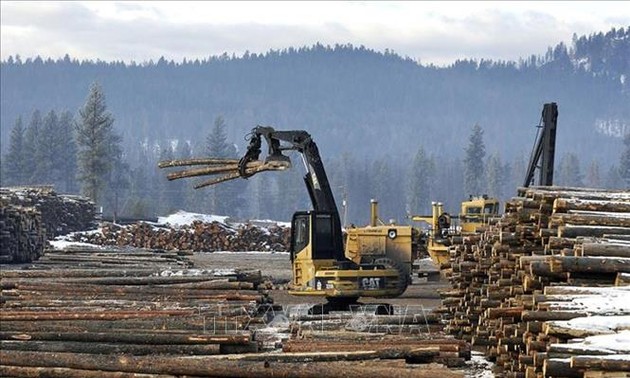 WTO mengeluarkan vonis yang sebagian mendukung Kanada dalam sengketa dengan AS tentang tarif impor terhadap produk kayu lunak