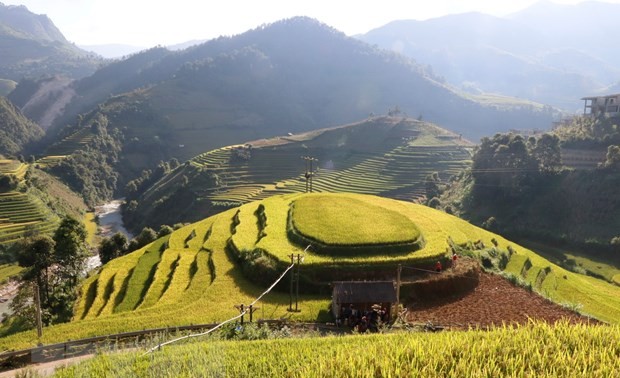 Pekan Budaya-Wisata Muong Lo dan Festival menguak tabir lanskap nasional terasering Mu Cang Chai akan berlangsung pada bulan September, 2019