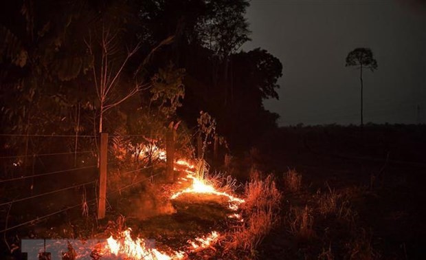 Menemukan lebih dari 2.500 titik panas kebakaran hutan di Asia Tenggara 