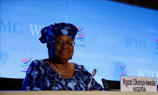 Untuk Pertama Kalinya Separo Kursi  Wakil Dirjen WTO  Diperuntukkan untuk Perempuan