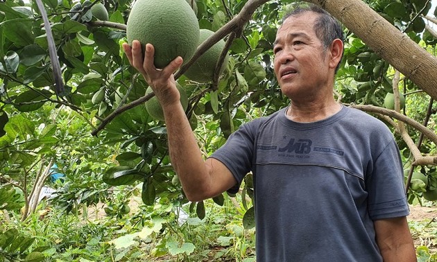 Nguyen Quang Toan -  Prajurit Penyandang Disabilitas Teladan yang Bantu Warga Dalam  Produksi Pertanian
