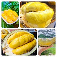 Perkenalkan Festival Durian serta Desa Kerajinan Membuat Benang dan Menenun Kain Sutra di Vietnam