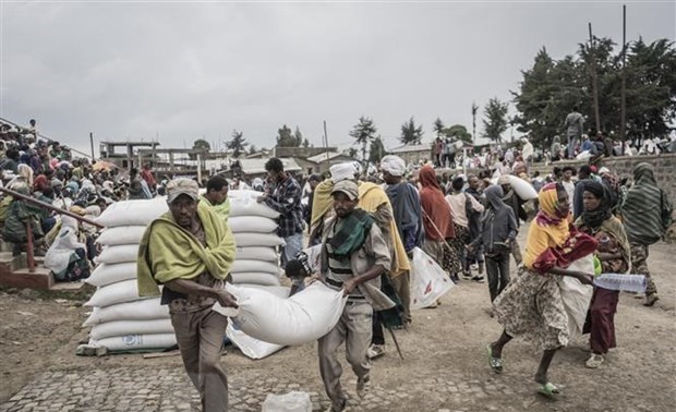 Uni Eropa Berikan Lebih dari 71 Juta USD untuk Tangani Krisis Pangan di Afrika