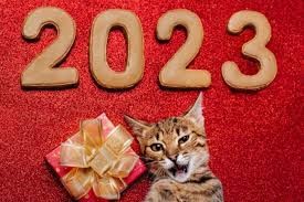 Mengikhtisarkan Surat dan Memperkenalkan tentang Tahun Kucing serta Acara Cap Go Meh di Vietnam