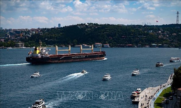 PBB dan Turki Diskusikan Kesepakatan Biji-Bijian Laut Hitam