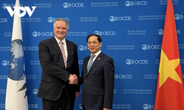 OECD Berkomitmen Bersinergi dengan Vietnam untuk Membarui Pertumbuhan 