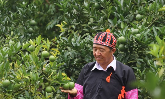 Bapak Hang A So – Petani Terkemuka di Daerah Pegunungan Son La