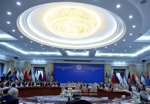 SCO Summit ratifies 11 decisions 