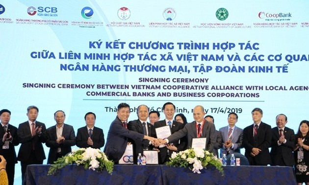 HCM City Forum promotes sustainable development of cooperatives