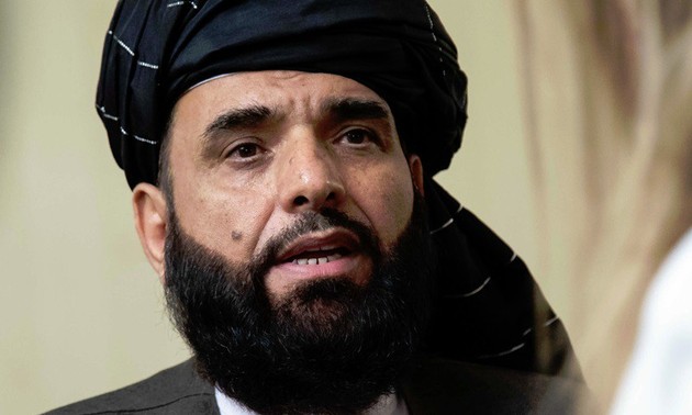US, Taliban discuss Afghan peace process