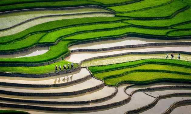 Mu Cang Chai named among world’s most beautiful destinations