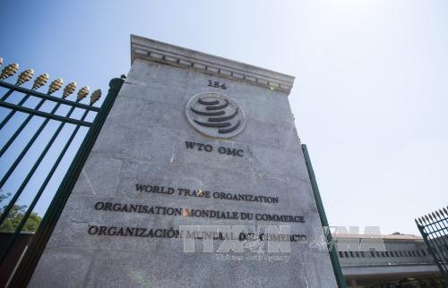 WTO calls for increased trade financing for developing countries