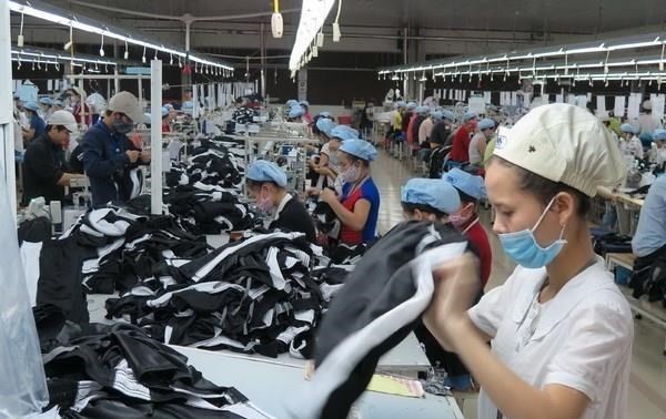 Vietnam's exports to Israel see continued recovery