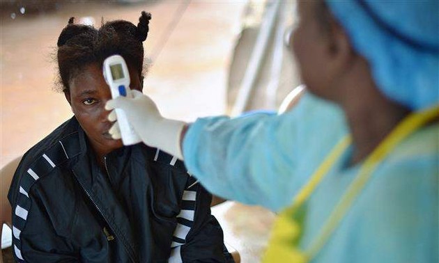 WHO alerts six African countries after Ebola outbreaks