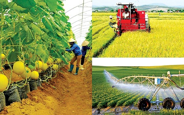 Vollversammlung der Partner zur nachhaltigen Entwicklung der Landwirtschaft in Vietnam