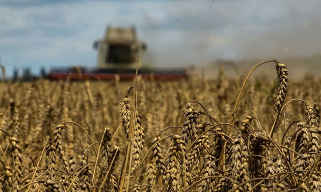 UN, Turkey, Ukraine press ahead with Black Sea grain deal despite Russian pullout