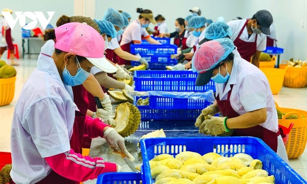 Vietnam-China trade turnover exceeds 100 billion USD over eight-month period