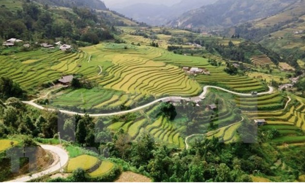 Travel program promotes Hoang Su Phi terraced fields