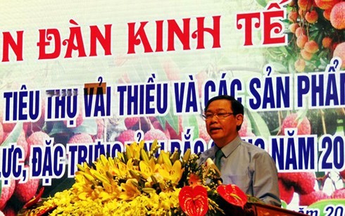 Deputi PM Vuong Dinh Hue: Buah lici Bac Giang mencapai penenan dan harga