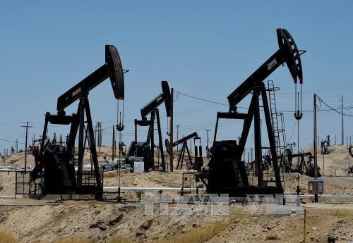 OPEC meningkatkan prakiraan tentang hasil produksi minyak tambang global
