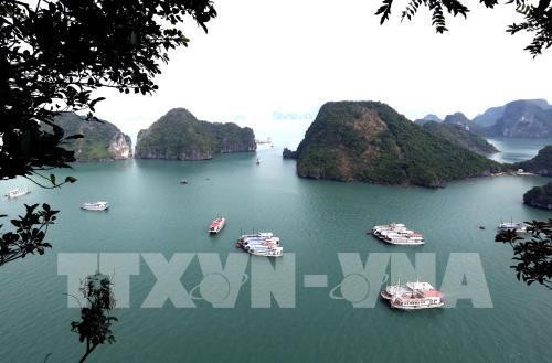 Vietnam telah bersedia menyambut dan memimpin Forum Pariwisata ASEAN 2019