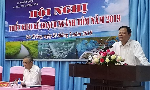 Perikanan Vietnam menargetkan akan mencapai ekspor udang sebanyak 4,2 miliar USD pada tahun 2019