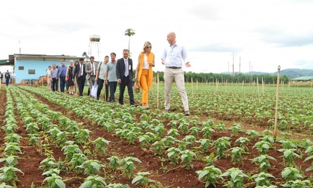 Sarasehan tentang Pertanian Berkesinambungan dan Ketahanan Pangan antara Vietnam dan Belanda
