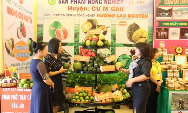 Pekan Raya Pertanian dan Produk OCOP Daerah Tay Nguyen