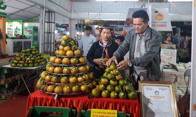 Pekan Jeruk Keprok dan produk OCOP Provinsi Ha Giang di Kota Hanoi