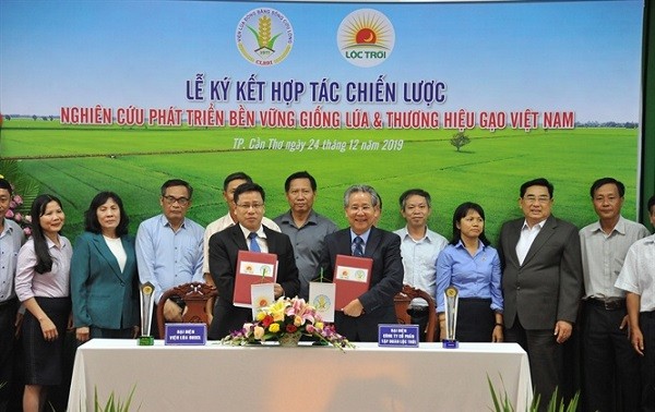 Membangun Brand Beras Vietnam