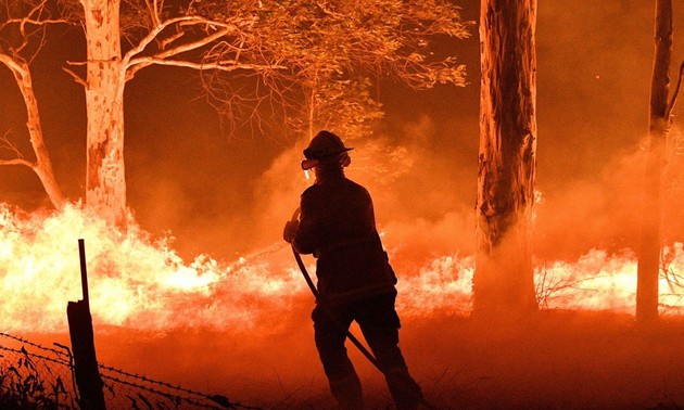    Komunitas Internasional Bersinergi Memberikan Bantuan Dalam Menghadapi Kebakaran Hutan di Australia