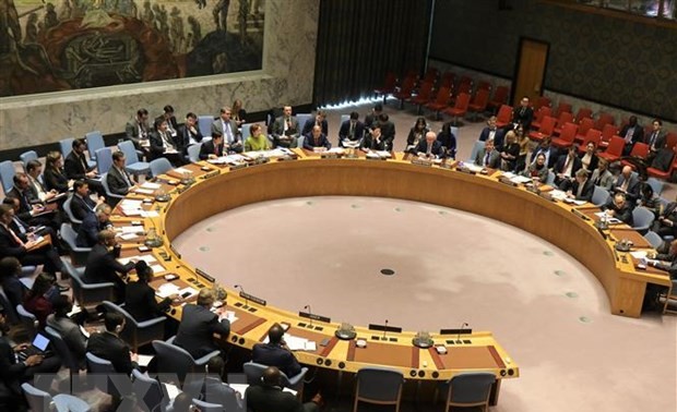 Vietnam memimpin sidang DK PBB tentang masalah-masalah di Siprus dan Libia