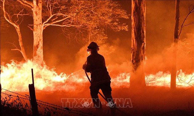Australia memperkuat pemadaman kebakaran untuk menanggulangi kebakaran hutan