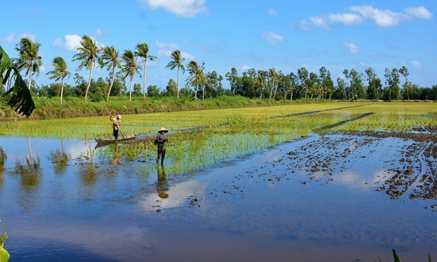 Daerah Dataran Rendah Sungai Mekong memperhebat ekspor udang