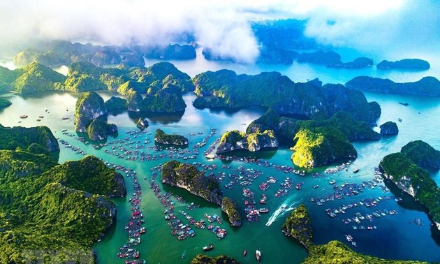 Melindungi Samudera dan Mengembangkan Mata Pencaharian Laut Vietnam yang Berkelanjutan
