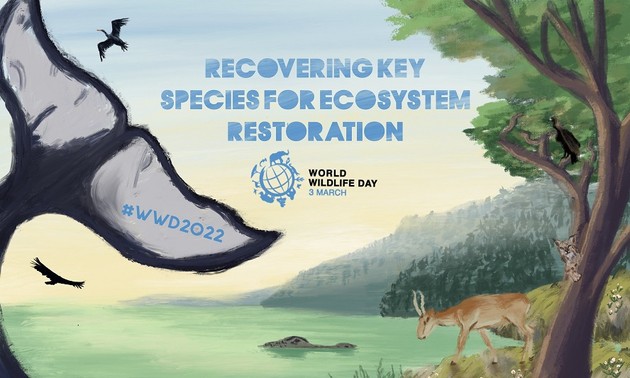 Hari Perlindungan Margasatwa Sedunia dengan Tema Regenerasikan Kembali Berbagai Spesies Utama untuk Pulihkan Ekosistem
