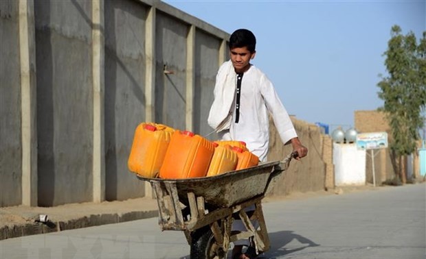 Bank Dunia Selenggarakan Kembali 3 Proyek di Afghanistan