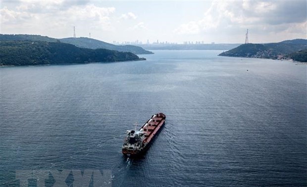 Kapal Sereal  Ukraina Pertama yang Berlabuh di Turki