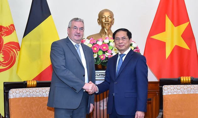 Wallonia-Brussel Terus Seiring-Sejalan dan Dukung Vietnam untuk Berkembang secara Berkelanjutan