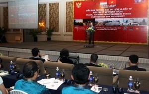 Forum über Zusammenarbeit in Handel, Tourismus und Investition zwischen Vietnam und Indonesien