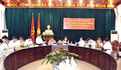 Vize-Parlamentspräsidentin Tong Thi Phong besucht Provinz Gia Lai