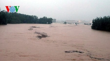 Provinzen Nghe An und Ha Tinh meistern Überschwemmungen