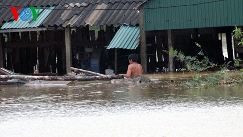 Das vietnamesische Rote Kreuz und die Rettung nach der Flut