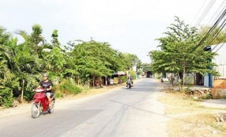 Erster Erfolg bei der Neugestaltung ländlicher Räume in Ho Chi Minh Stadt